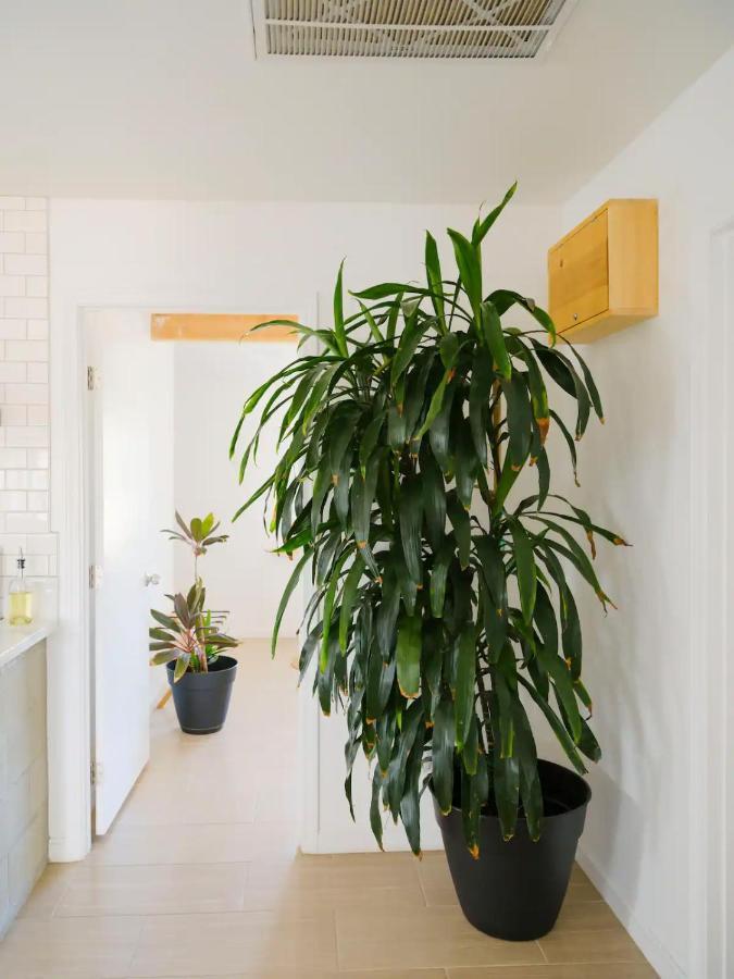 The Zen - Outdoor Shower, Gas Fireplace, Walkable To Shops & Restaurants Joshua Tree Exterior foto